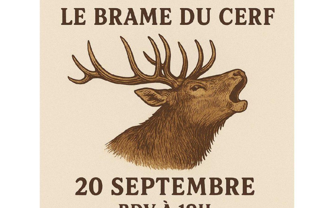 Ecoute du « Brame du cerf » _ événement proposé par l’association BVAO (Bien vivre à Ongles)