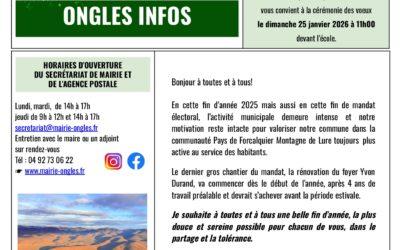 Vœux du maire le dimanche 25 janvier 2026 à 11h